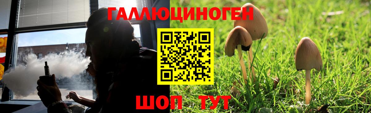 Галлюциногенные грибы прущие грибы  Галлюциногенные грибы прущие грибы  Вход с VPN  Урус-Мартан 